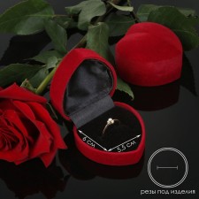 The case is velvet under the ring 