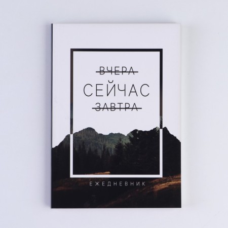 Diary in the soft cover "Now", A5, 80 liters-5