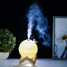 Night with a humidifier ball LED USB AKB White 12x12x11.5 cm Risalux