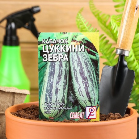 Semen zucchini zucchini "Zebra", 2-3 g