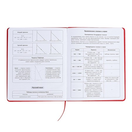 The universal diary for the 1-11 classes "Anime", a solid cover made of artificial leather, application, lies, 48 ​​sheets, red-9