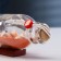Souvenir in the bottle "Shell" 12*6*6cm, mix