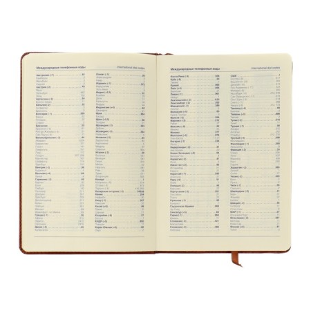 Deliciper of Leduced A5, 116 sheets in a cage, elastic band, leatherette cover, mix-2