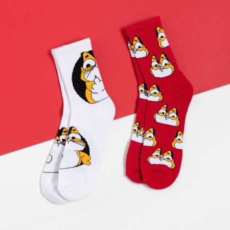 A set of New Year's male socks "cat" p. 41-44-1