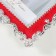 Photo frame plastic for metal 10x15 cm "Garden roses" red with silver 13.3x18 cm