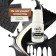 Oil-Gel Displays, fat-soluble, black, 10 ml
