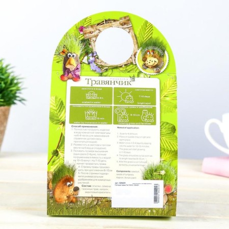 Growing gift grass "Hedgehog"-15