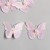 Pink-lilac