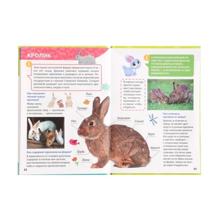 Encyclopedia for small cloaks "Farm animals"-5