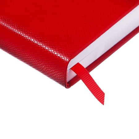 Dated diary 2025, A6+, 176 sheets "Lyon", solid cover, pancake embossing, with liesa, block 80 g/m2, red-2