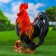 Garden figure "Andaluzian Rooster" 46x42x23cm