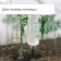 Auto -polyoves for indoor plants for a bottle, adjustable, gray, plastic, height 16 cm, 4 pcs.