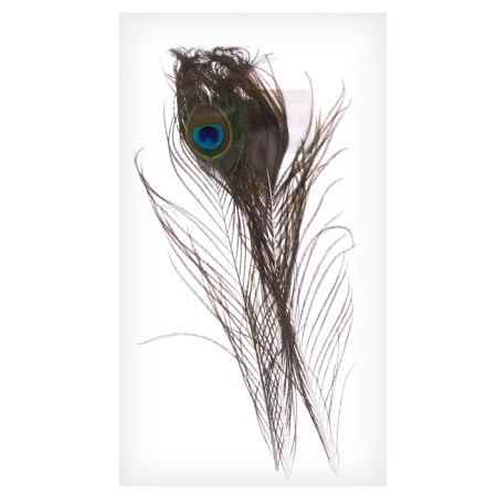 Feather of peacock for decor, set of 3 pcs., Size 1 pc. - from 25 to 30 cm-8