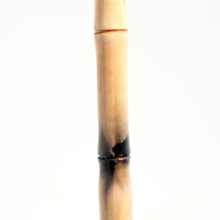 Souvenir cane 90cm, bright-2