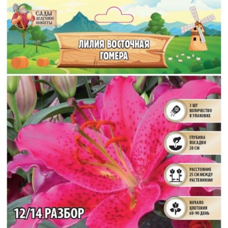 East Lilia "Gomera", rr 14/16, 3 pcs.-1