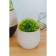 Pot "duet", 500 ml, coffee with milk