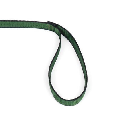 Leash 2 m x 2 cm, green-black-2