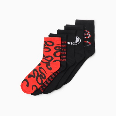 Set of men's socks KAFTAN ZMEUCCI, p. 41-44 (27-29 cm), 5 pairs-2