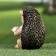Garden figure "Hedgehog reads the book" 10x9x14cm