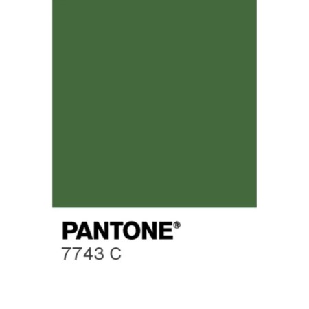 Acrylic matte paint in the tube 75ml Calligrata, KM058 olive-green, Panton 7743C-2