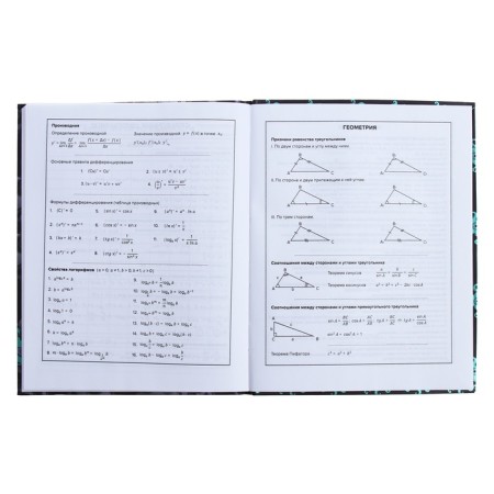 Universal Diary Grade 1-11, 48 sheets "Monster Call", integral cover, matte lamination, selective UV-fluid, congructor-9