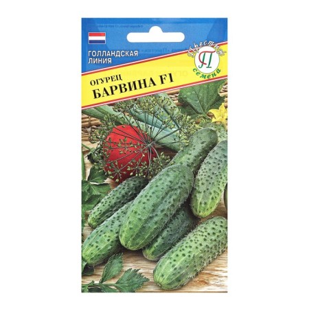 Cucumber seeds "Barvina F1" Early Nespel, c/p, 5 pcs.