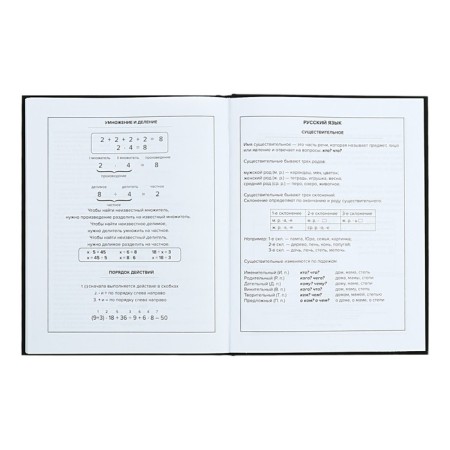 School diary for grades 1-11, 48 sheets "Main", solid cover, "software", universal cheat sheet, block 65g/m2-11
