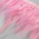 Braid with feathers of a rooster, 10-15 cm, 5 ± 0.5 m, pink color