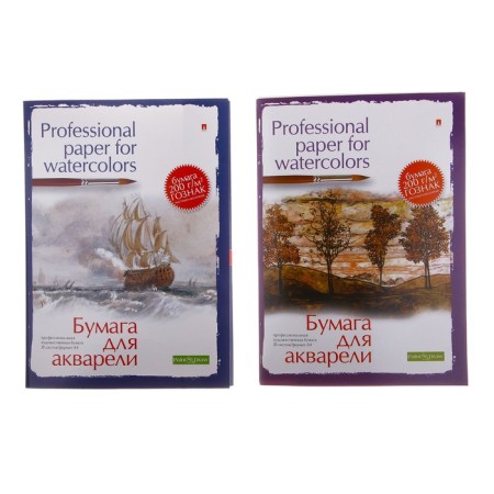 A4 watercolor paper, 20 sheets "Professional Series", block 200 g/m2, mix