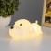 Night "Little Dog" LED from 3XLR44 batteries is white 14.5x8 cm Risalux