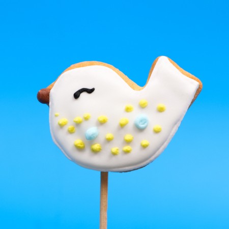 Vanilla mini-flood on a stick "Birds" 15 g-1