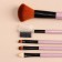 Set of makeup brushes "Soft", 5 objects, color mix