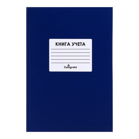 Book of accounting, 96 sheets, boumvinyl cover, offset block, cage, blue color, sticker