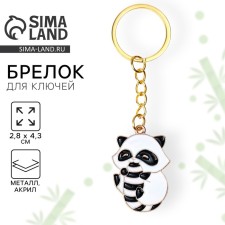 Брелок для ключей детский, металлический "Енот", 2,8 х 4,3 см