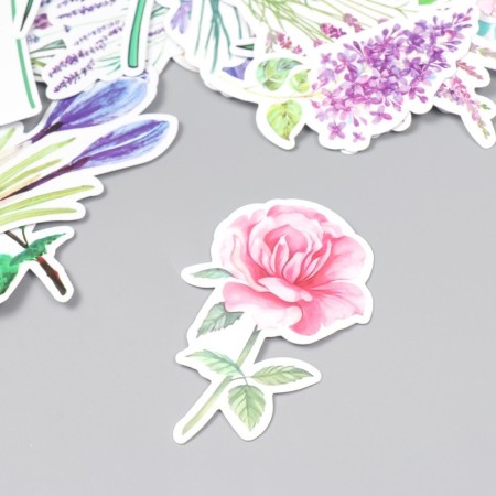 Stickers for creativity "Field flowers" set 50 pcs 4x8 cm-1