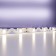 Maytoni LED tape, 24V, IP20, 5050, 12W/m, 4000k, 5 m, monochrome glow