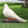 Garden figure "pigeon" 19x10x14cm
