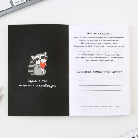 Smart notebook for finance planning "Cat", A6 format, 68 sheets.-2