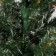 Artificial Christmas tree "Siberian with cones" 220 cm