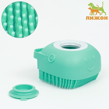 Brush for washing and massage of animals, with a container for shampoo, turquoise