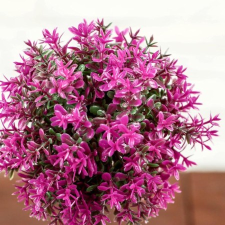 Bonsai in the pot "Color Leaflets" 18 cm, mix-1