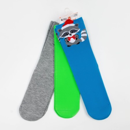 Women's socks "Raccoon", Mix color, size 36-40-4
