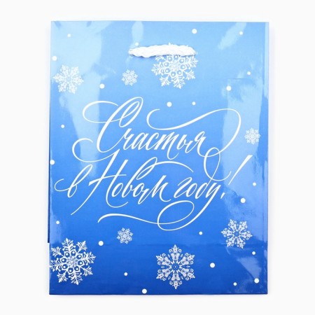 Package New Year's laminated “Happiness in the New Year”, S 12 x 15 x 5.5 cm-3