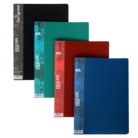 A set of folders A5, 20 inserts, calligrata, pocket on the spine, mix, 4 pieces