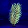 The artificial aquarium, luminous, 20 cm, red plant