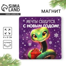 Magnet 