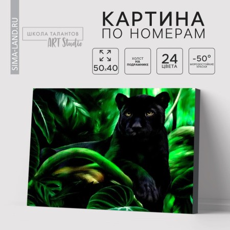 Picture on numbers on canvas with a panther's subframe, 40 x 50 cm