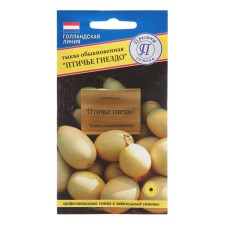 Decorative pumpkin seeds 