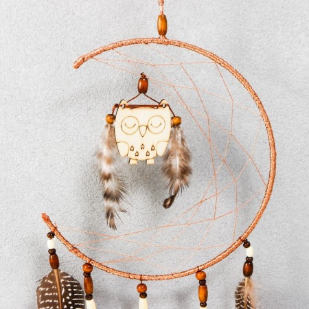 Dreams "Sleeping Owl" 58x16 cm-1
