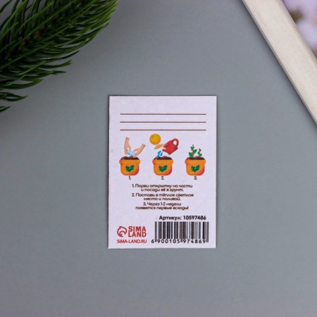 A postcard with the seeds "grow itself" "Happy New Year!" 5*7cm-2